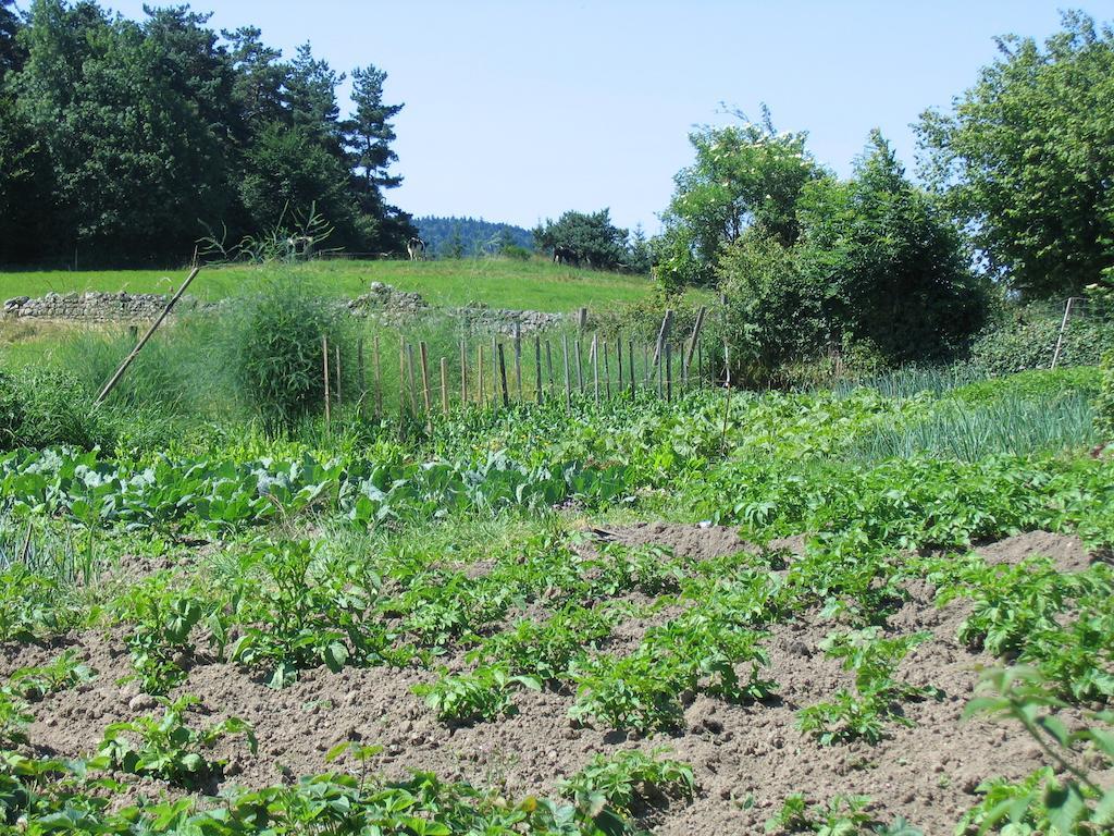 La Ferme Des Genets Panzió Medeyrolles Kültér fotó